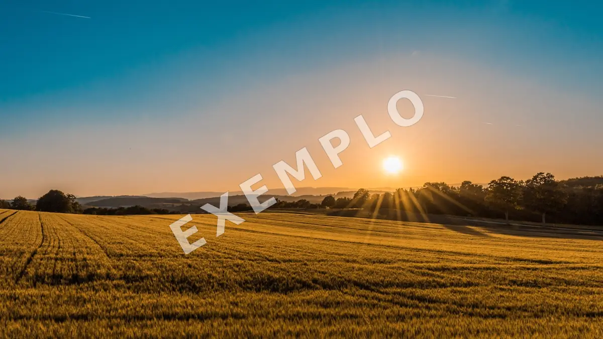 Terreno plano de 450 m² em loteamento com infraestrutura pronta