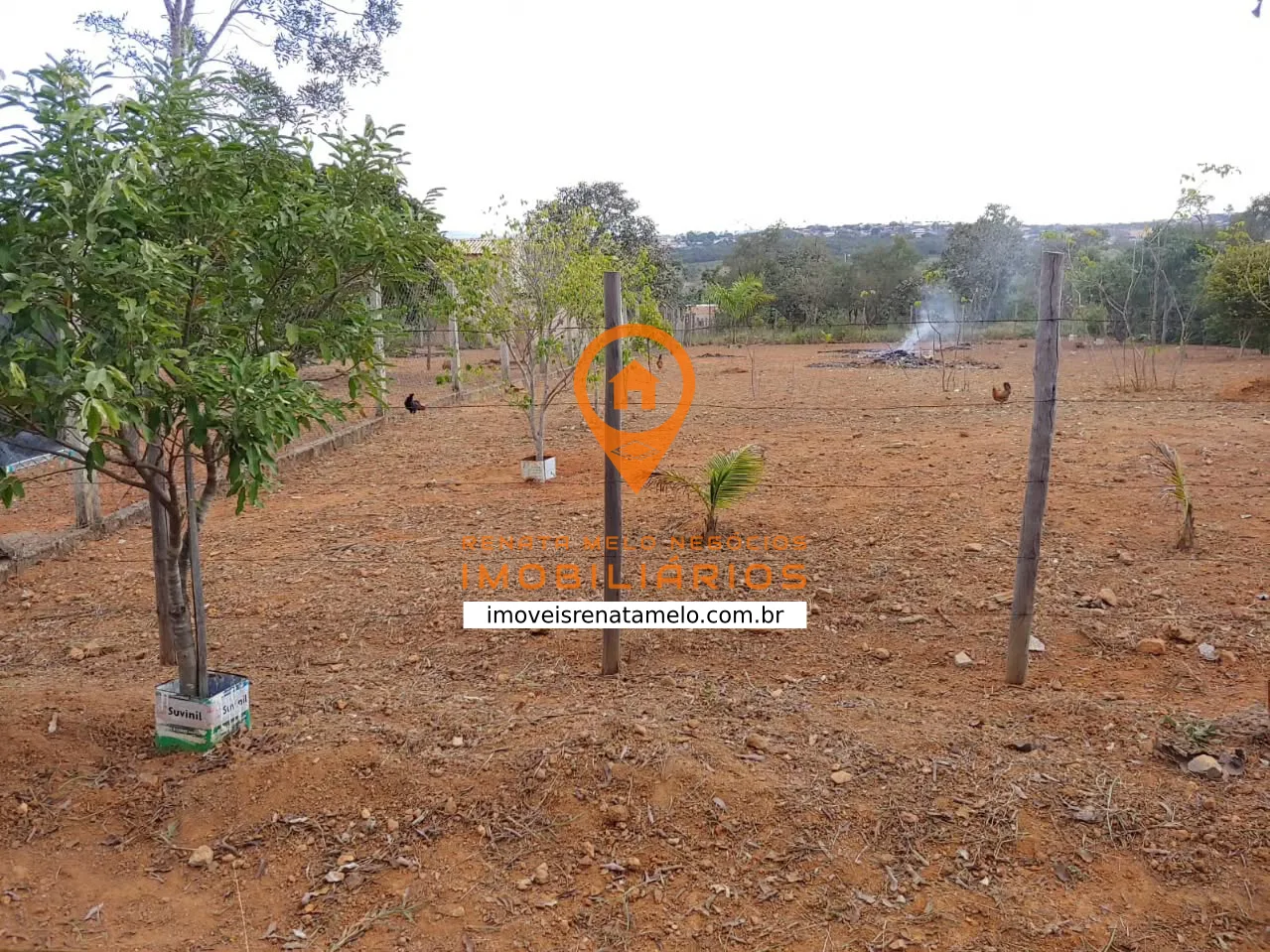 Lote de 1.000 m² com pomar na Quinta do Almeida