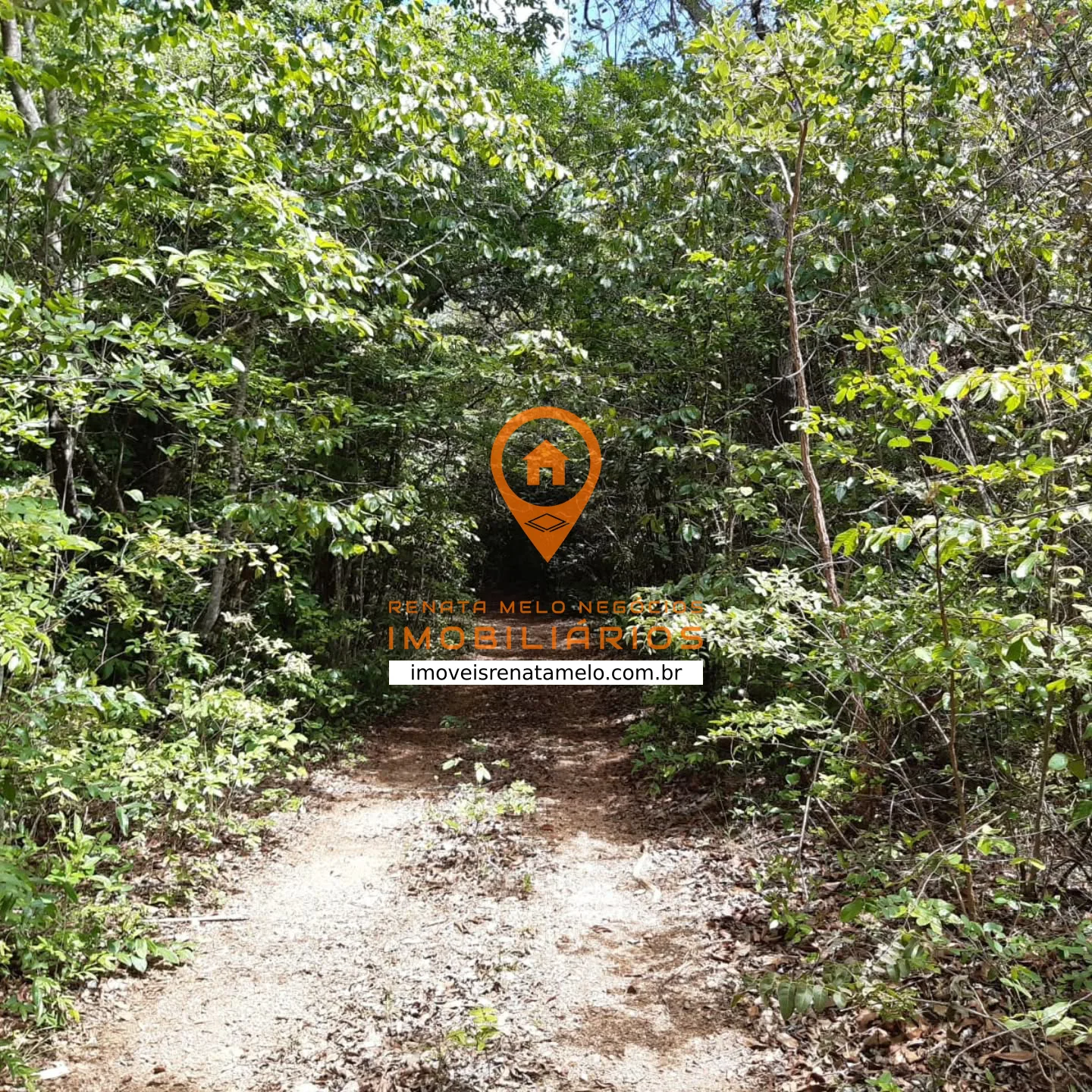 Fazenda de 408 hectares com represa, entre Jaboticatubas e Baldim