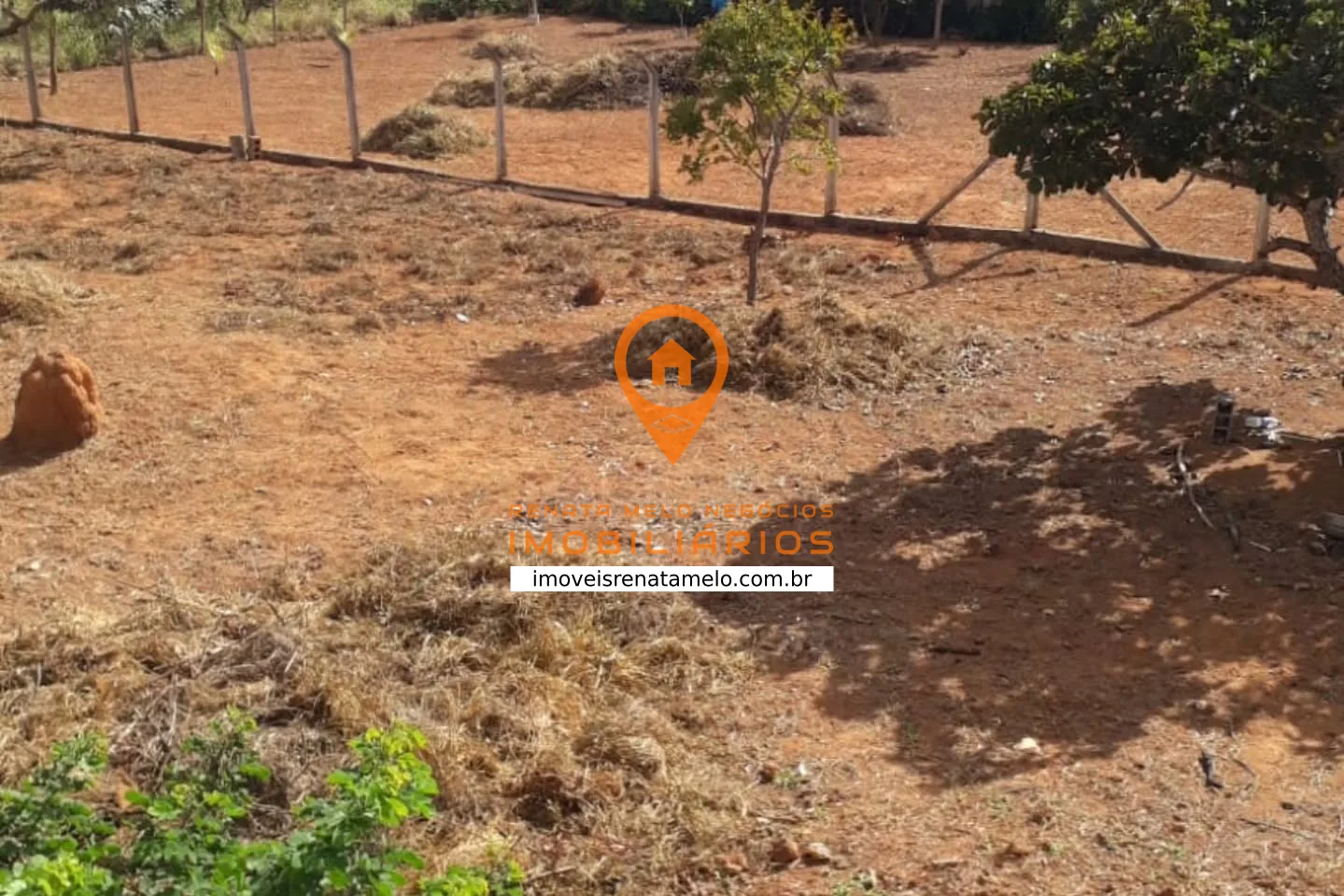 Lote de 1.000 m² com pomar na Quinta do Almeida