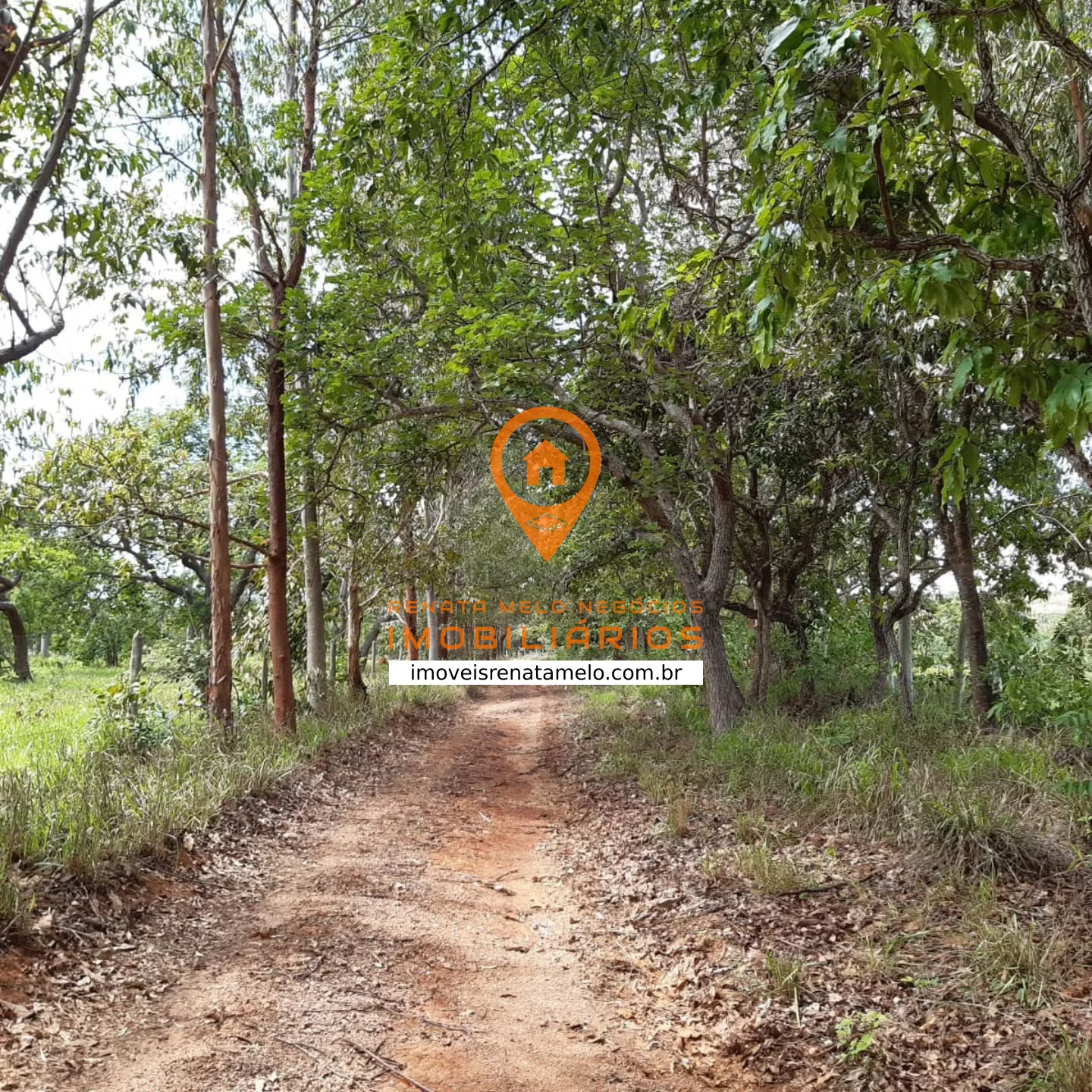 Fazenda de 408 hectares com represa, entre Jaboticatubas e Baldim