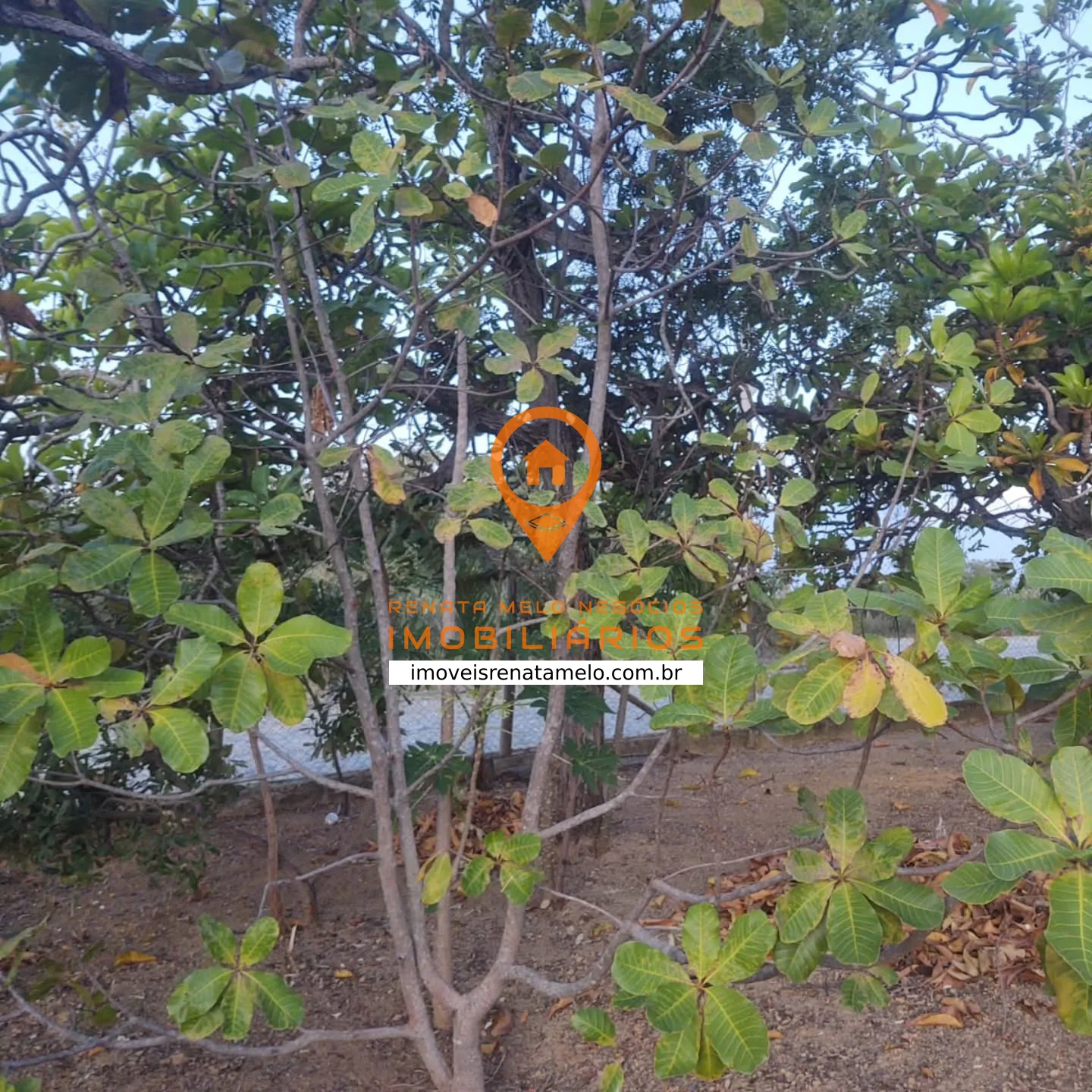 Chácara de 2.450 m² com base de casa pronta no Condomínio Caminho da Serra