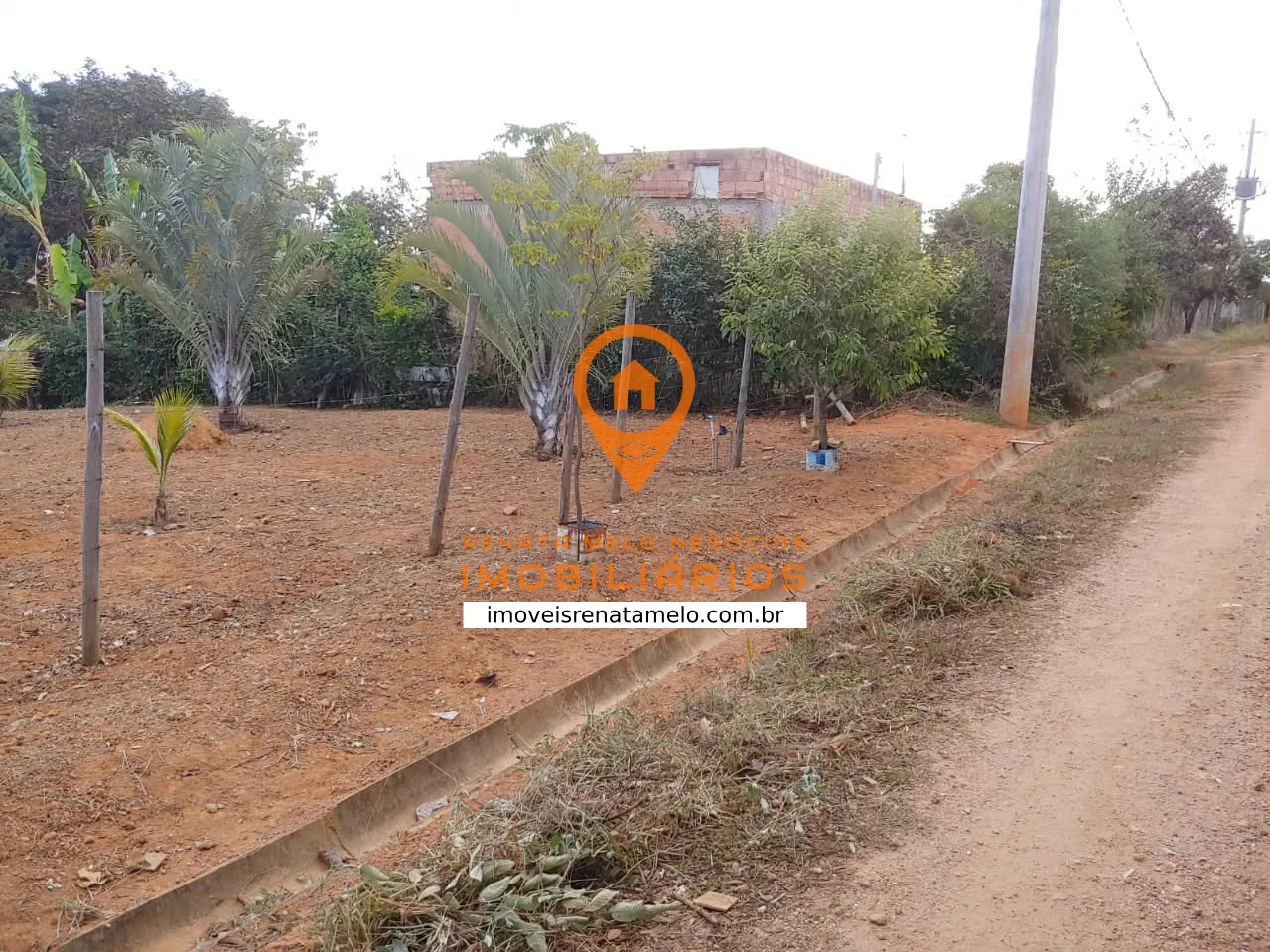 Lote de 1.000 m² com pomar na Quinta do Almeida